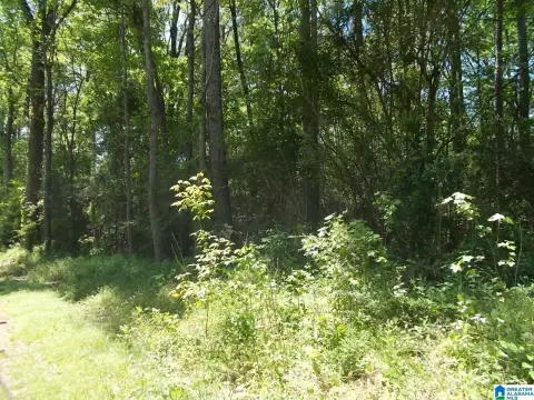 Residential Land Lot with Highway Access