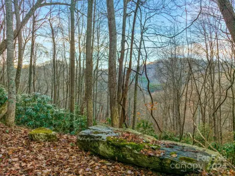 Wooded Estate Land in Mars Hill