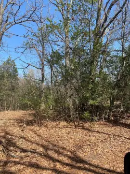 Waterfront Land Lots in Channel