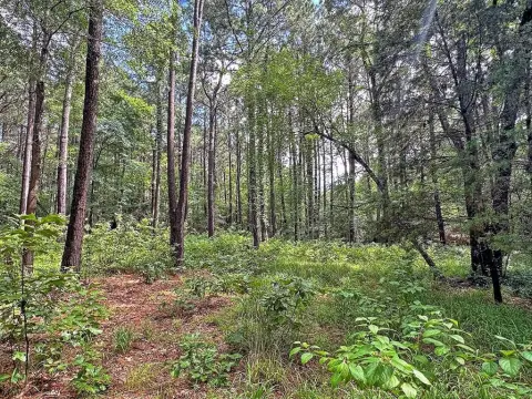 Wooded Secluded Homesite Lot