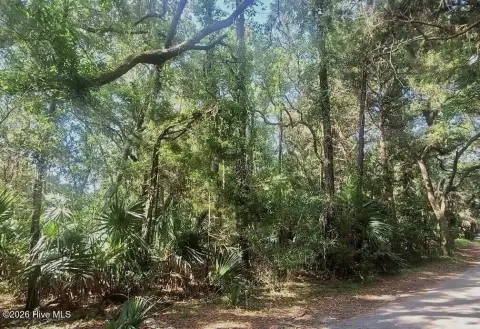 Wooded Lot on Bald Head