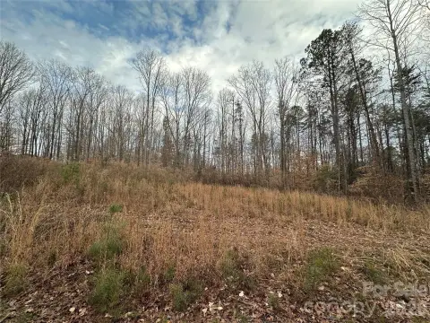 Wooded Land Near Long Island