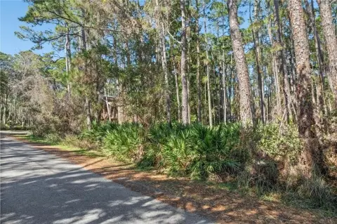 Wooded Lot on Dauphin Island