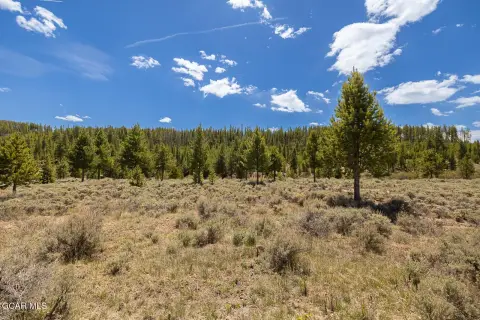 3.38 Acres Wooded Land