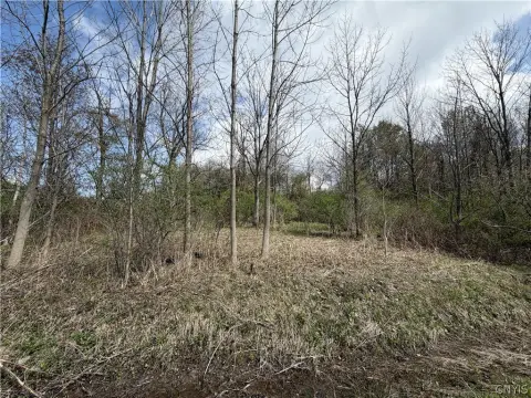 Partially Wooded Jordanville Land
