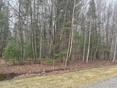 Wooded Land Near Lakeshore