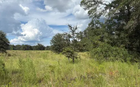 Fenced Pastureland