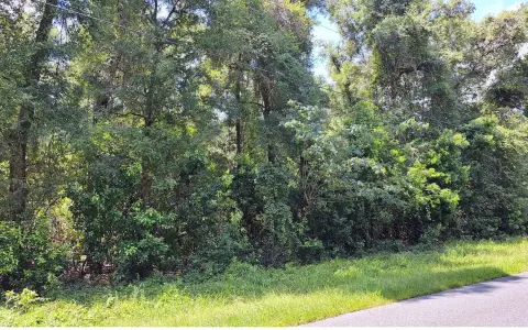 Wooded A-1 Land Parcel