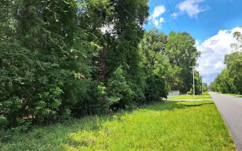 Wooded A-1 Land Parcel