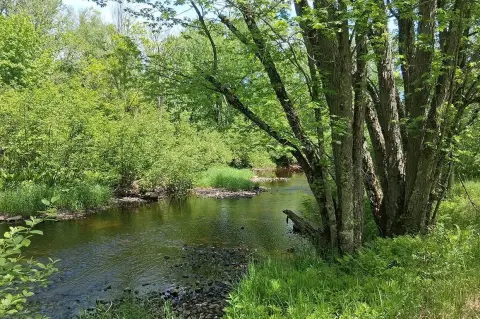 Waterfront Land Parcel with River Frontage