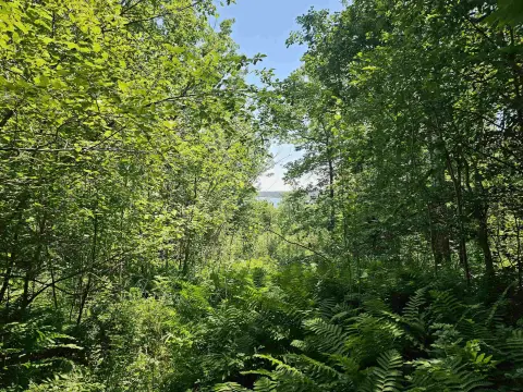 Washburn Land with Lake Views