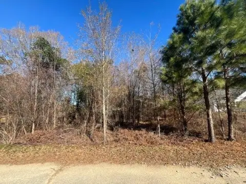 Land Near Lake Marion