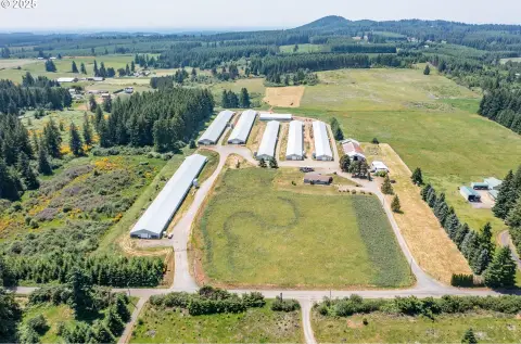 Poultry Farm With Broiler Barns