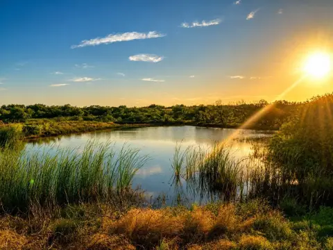 Fenced Hunting and Waterfront Land
