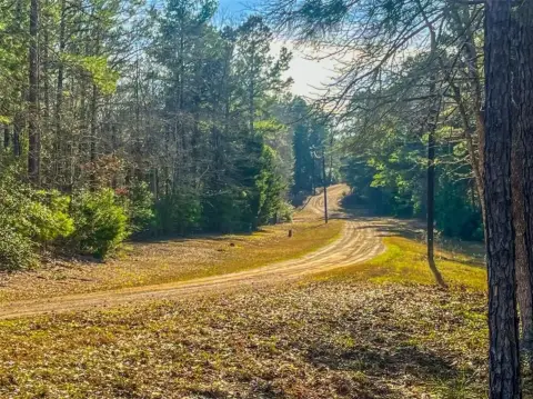 Secluded 11.5-Acre Hunting and Homesite