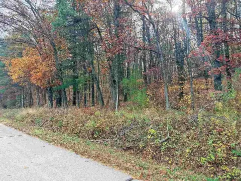 Wooded Hunting Land