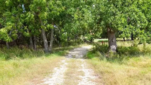 Land in Bosque County, Texas