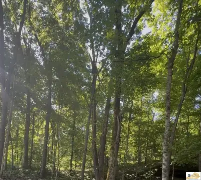 Land Near Nolin Lake