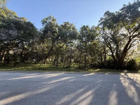 Charleston Land with Grand Live Oaks