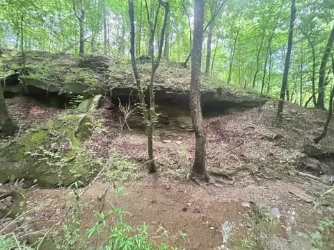 Timbered Hunting Tract with Water