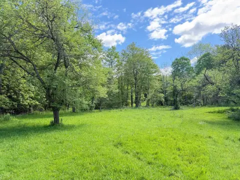 Open Land with Wooded Acres