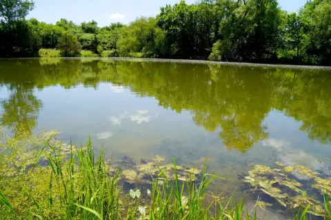 Vacant Land with Large Pond