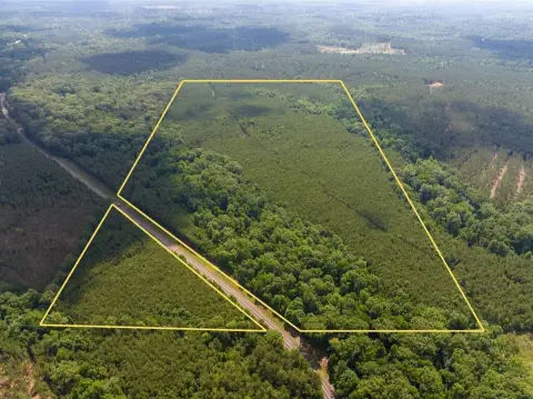 Timber and Hunting Land