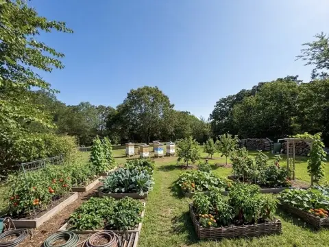 Live-Work Property with Workshop