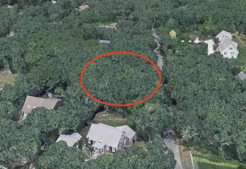 Buildable Lot in Edgartown Neighborhood