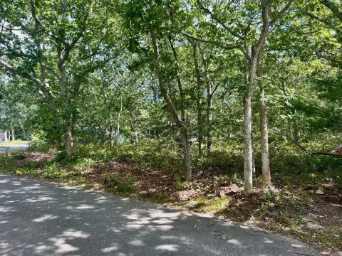 Buildable Lot in Edgartown Neighborhood