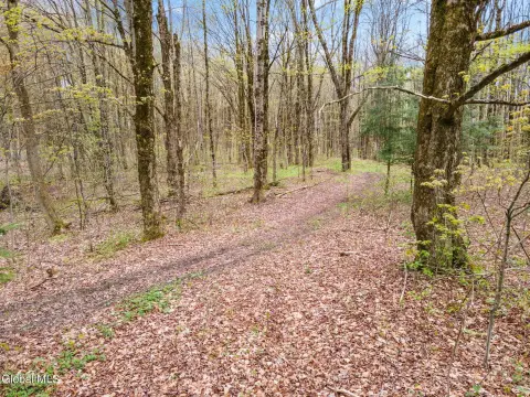 14.85 Acres in Pitcher, NY