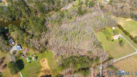 Wooded Land in Pine Ridge Estates
