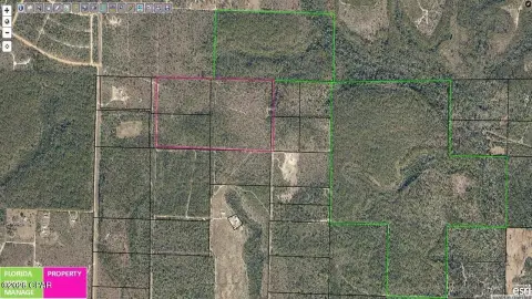 Hunting Land with Off-Grid Cabin