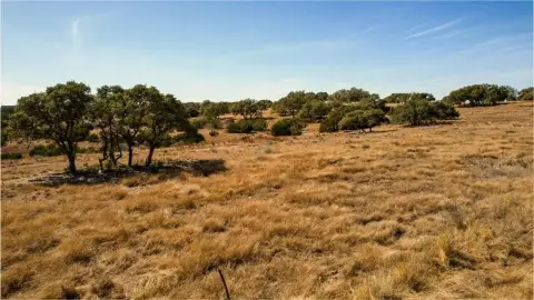 Kerrville Homesite with Hill Country Views
