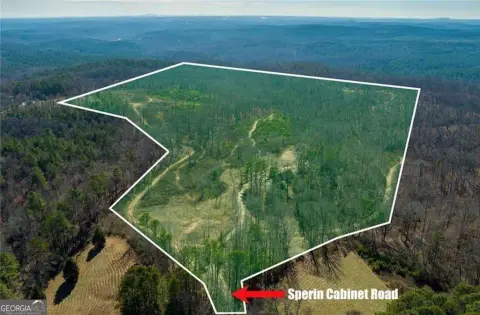 Undeveloped Land Parcel