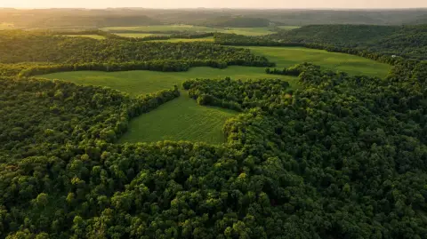Timber and Tillable Farmland