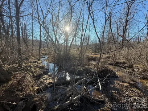 Waterfront Land with Creek