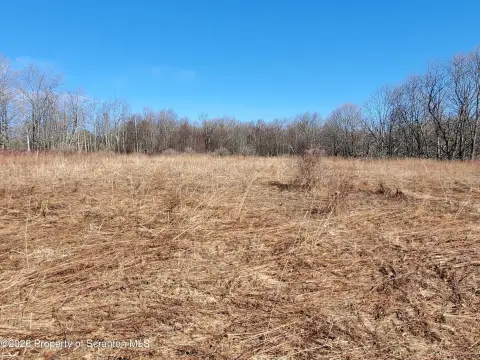 20 Acres of Mixed Land