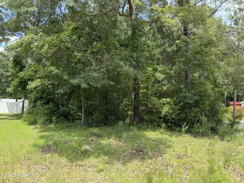 Residential Lot in River Trace