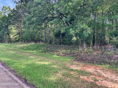 Waterfront Lot in Lincolnton, GA