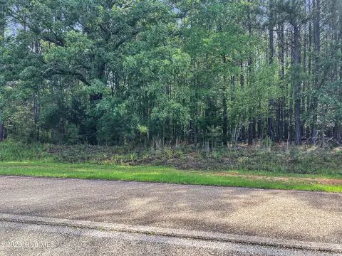 Waterfront Lot in Lincolnton, GA