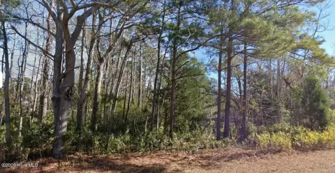 Wooded Lot in Shallotte, NC