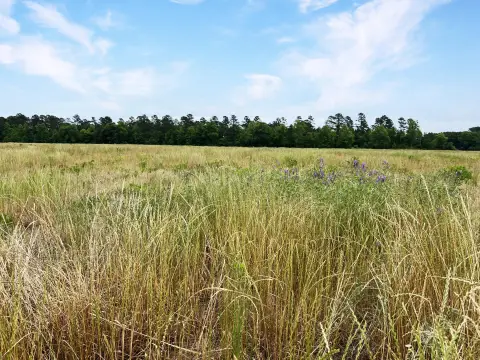 Saint George Vacant Land
