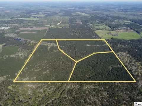 Managed Timberland with Hunting Access