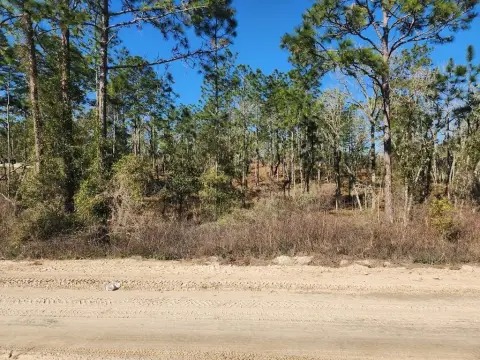 Williston Highlands 1.25 Acre Lot