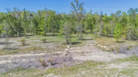 Cleared Acreage Near Steinhatchee