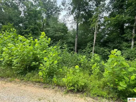 Wooded Residential/Recreation Land
