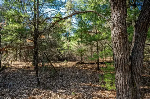 Wooded Buildable Lot Near Lake