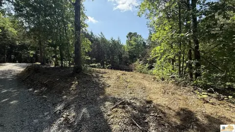 Wooded Recreational Land Tract