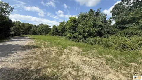 Wooded Recreation Land Tract